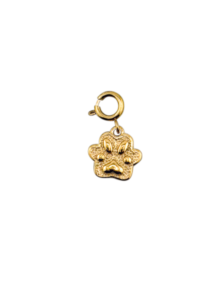 Pfoten Charm